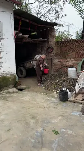 Yaya is dealing with her own urine.