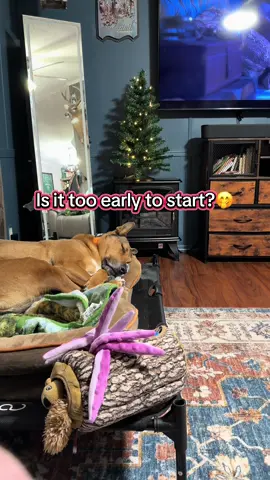 #christmas #chrsitmasdecor #christmastree #tooearlyforchristmas #TikTokShopBlackFriday 