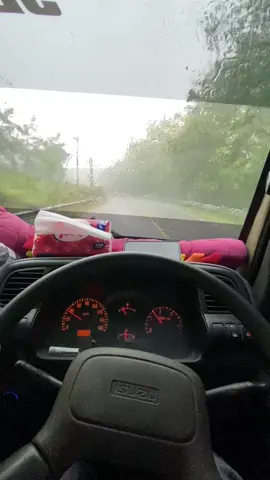 #foryoupage #sewaelftuban #isuzuelf #elfmaniacintaindonesia #kpritours 