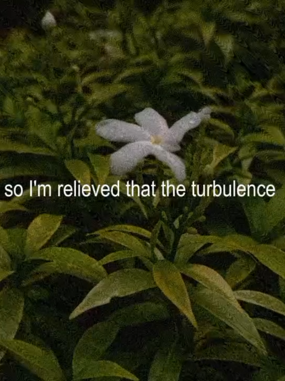 🖤 #mitski #lastwordsofashootingstar #fyp #lyrics #relateable 