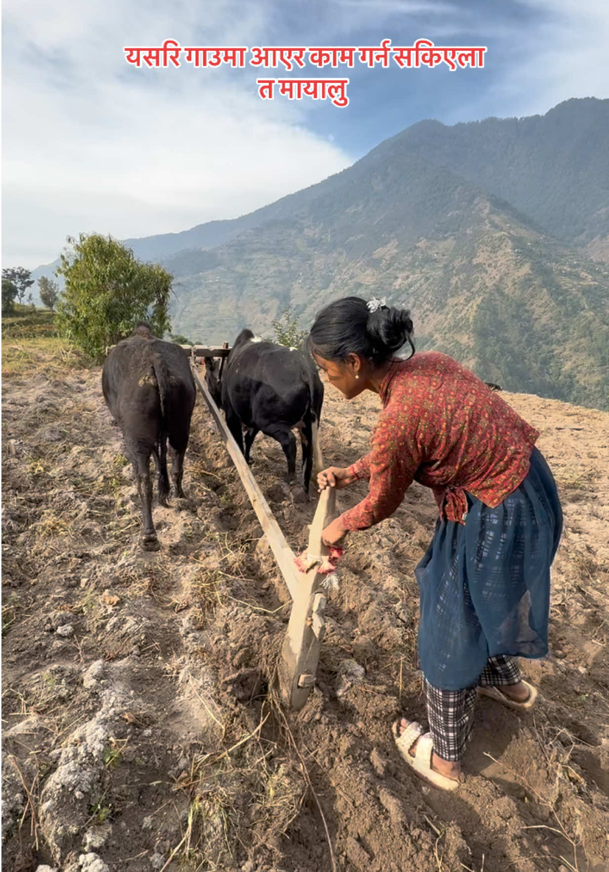 यसरि गाउमा आएर काम गर्न सकिएला त मायालु !❤️🙏