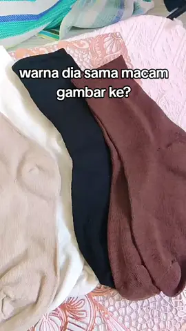 #sock #socks #gorillacat 