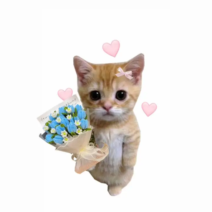 Đó chính là Hoa Handmade của nhà Kiona Craft🌸 Các em meow đã trải nghiệm🐱 Còn không mau đến đây để cùng trải nghiệm cùng bọn tớ nào🌻 Hachimiiiiii Mamboooo~ #handmade #kionacraft #hachimi #mambo #catsoftiktok 