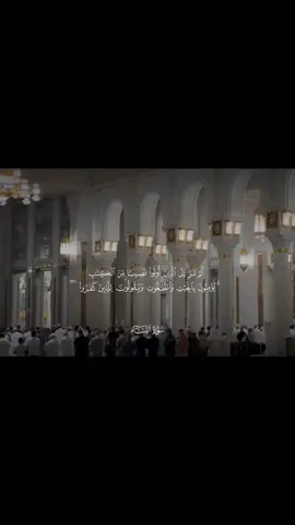 #ماهرالمعيقلي #سورة_النساء 