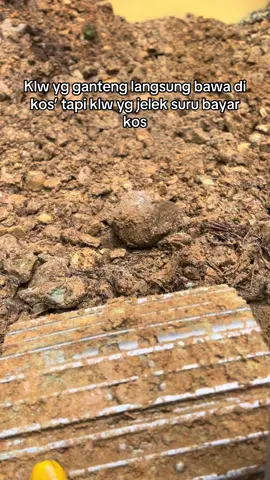 Memang’ so ta lebe no dorang p baku sedu ini🤣 /fyppppppppppp