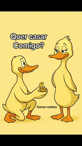 Musica para usar em pedido de casamento #casamento #pedidodecasamento #quercasarcomigo 