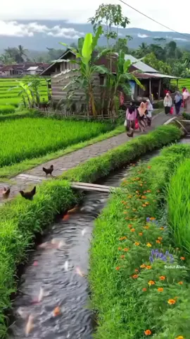 Suasana pagi di desa yang sejuk dan asri🌿 #pedesaan #pemandangan #nature 