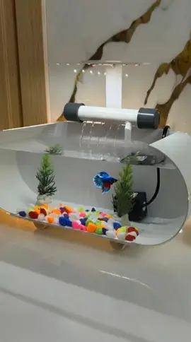 Aquarium mini akrilik ikan cupang fullset #aquariummini #aquariumminiakrilikikancupang #aquariumakrilik #aquariumfish #aquariumcupang 