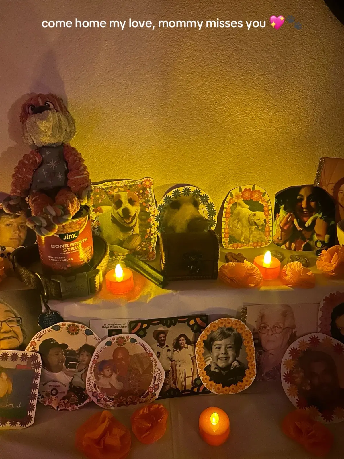 our first ofrenda with our first fur baby together. my soul dog, Laylah, gave me the best 13 years. by my side since I was 16. I miss you baby, come home to momma 💖 #ofrenda #diademuertos #petofrenda #petloss #rememberme 