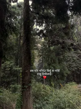 अब यति भनिदेउ बिर्सु या पर्खि राखु तिमीलाई।❤️‍🩹 #fyp #fypシ @. 