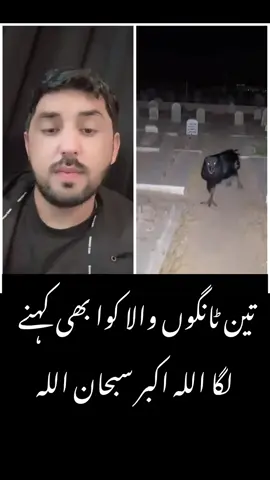 #foryou #foryoupage #fyp #viral #trending #tiktokpakistan #standwithkashmir #100k #1millionaudition #burhan_tv #Pakistan #Pakistani #Lahore #Karachi #Islamabad #Peshawar #Quetta #MadeinPakistan #PakistaniDrama #CokeStudio #UrduPoetry #Sufi #PakistanZindabad #BeautifulPakistan #TravelPakistan #Funny #Comedy #Meme #PakistaniComedy #Haha #Prank #Lol #DesiComedy #Acting #LipSync #Fashion #Beauty #OOTD #Makeup #Style #PakistaniFashion #DesiLook #Shaadi #Mehndi #GetReadyWithMe #Foodie #Food #Recipe #DesiFood #StreetFood #Biryani #Chai #FoodLover #Eating #Pakistanifood #Dance #Music #Song #Bhangra #Bollywood #Lollywood #PakistaniMusic #Singing #Guitar #DanceChallenge #Travel #Vlog #Adventure #ExplorePakistan #NorthernAreasOfPakistan #Hunza #Skardu #Nature #Tourism #Wanderlust #LearnOnTikTok #Motivation #Inspiration #Knowledge #LifeHacks #CareerGoals #Quotes #Success #Mindset #UrduQuotes #Cricket #PSL #Fitness #Workout #Gym #Football #Health #Sports #BabarAzam #shaheenafridi 