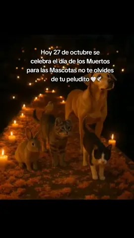 #27deoctubrediadelasmascotas #foryoupage #frases_tania #Viral @TikTok ✌🏻✨🐾👍🏻🧡🕊️👍🏻✌🏻✨