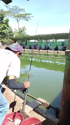 memang mantep kalau mancing ikan bawal nyerenteng 😱🎣