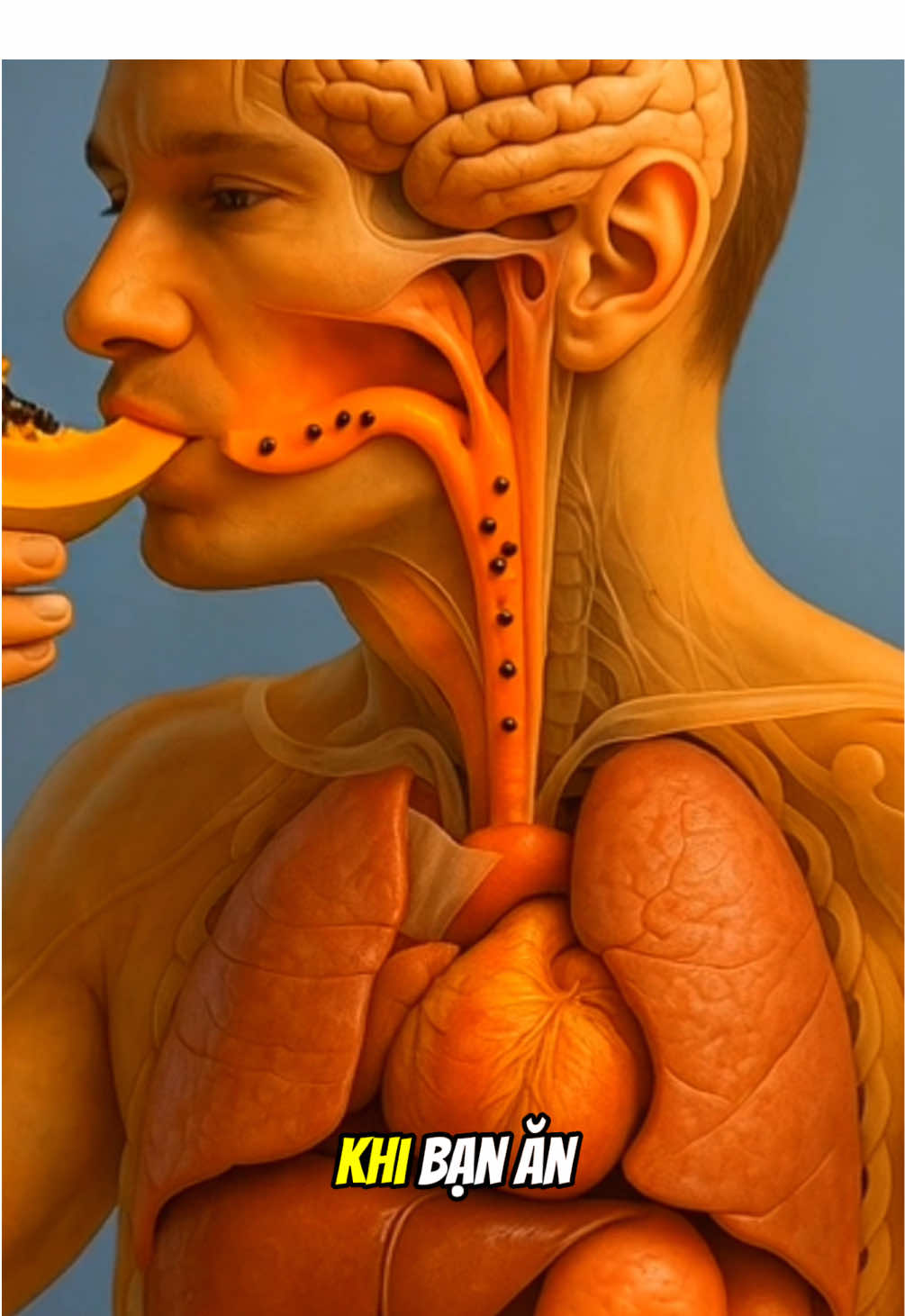 Khi bạn ăn một miếng đu đủ cơ thể sẽ thay đổi như thế nào 👍 #health #đuđủ #totchosuckhoe #chamsocsuckhoe #depda 