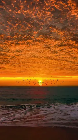 sunset ✨🌄#sunset #fyp 