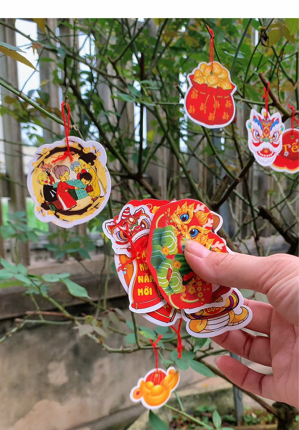 Set 48 liễn trang trí cây đào mai quất #trangtritet #lientrangtricaydao #lientrangtri #tet2025  @Ngọc Mét 5 