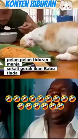 silap mata ilang ikan 🤣 #videoviral  #kucinglucu  #kucingviral  #repost 