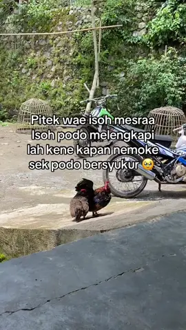 #jowopride #jowostory 