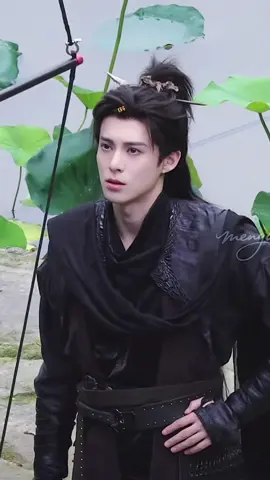 #dylanwang #dylanwang王鹤棣 #metorgarden 