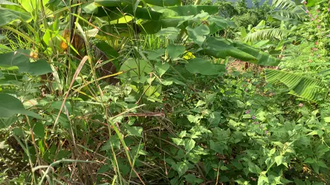 Bình yên đến lạ🥰#xuhuongtiktok 