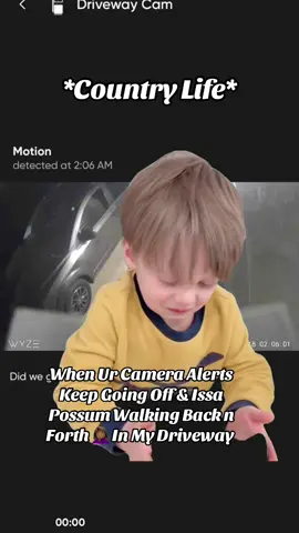 #Meme #MemeCut Possums Deer 🦌 Skunks 🦨 Rabbits 🐇 etc. 