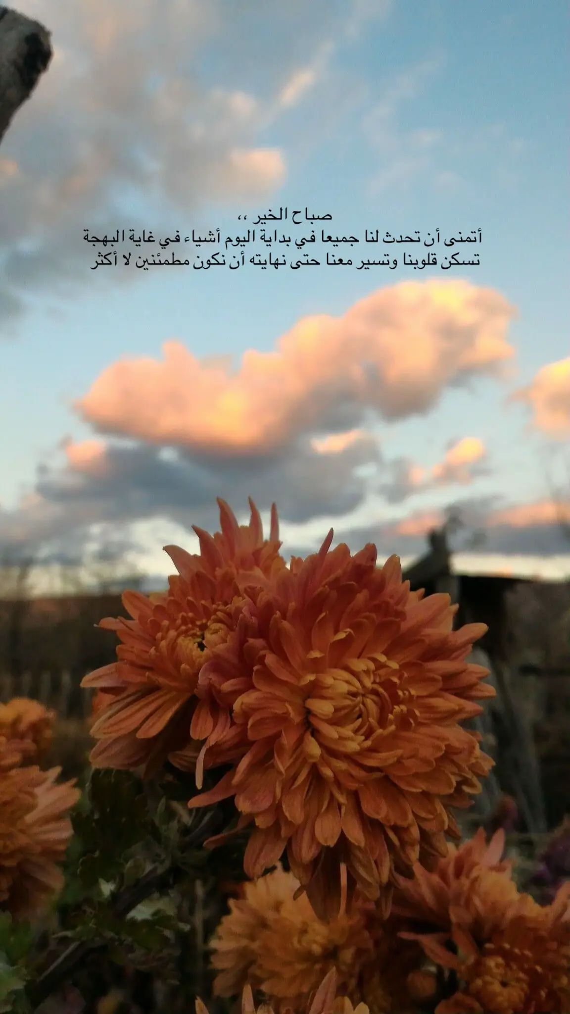 #صباح_الخير #foryou 