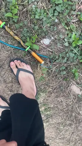 #câucá ngứa chân quá