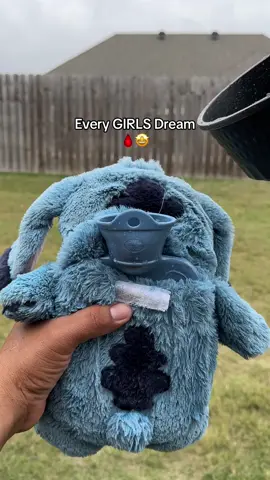 A Christmas gift ?😮‍💨🙌🏻 #cozyplush #period #cramps #liloandstitch #musthaves 