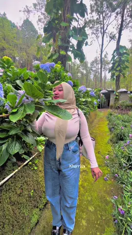 Lucu e bungane🥴#hortensia #tamanbungatalun #cobantalun #kharrluv #fyp 