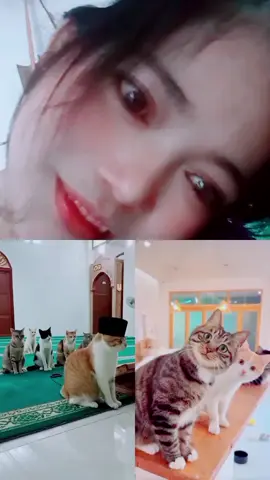 #duet dengan @🌻...cinta laura...💥 #Duet 