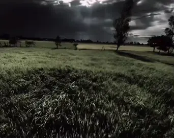 #ឲបេះដូងម្នាក់មួយផងបងៗ💙  #ស្រុកជល់គិរី💞 #fypシ ❤️‍🩹