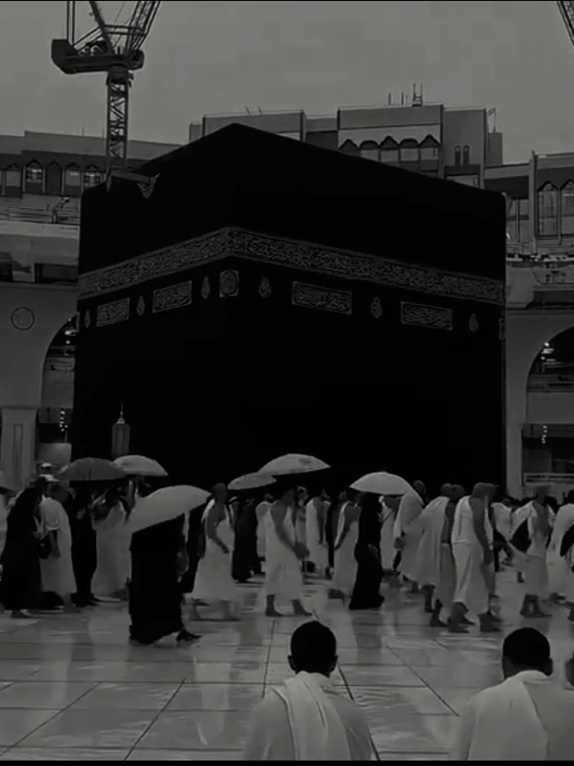 ‎  #ngajibareng #ngaji #ustadzadihidayat #hijrah #fyp 