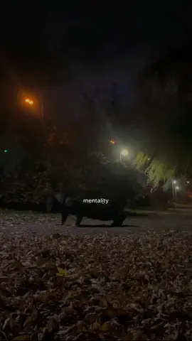 #🖤🖤🖤🖤🖤🖤 #gym #diciplina #🖤🖤🖤🖤🖤🖤 