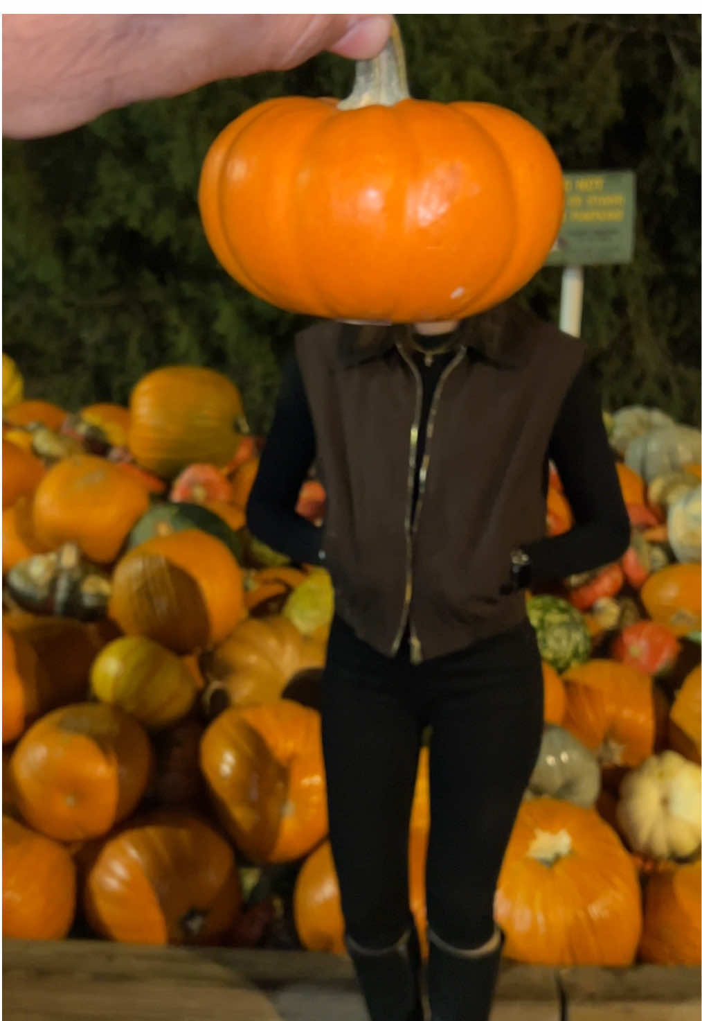 I am an autumn #viral #trending #falltivities #fyp 