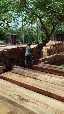 woodworking #woodworking #kayu 