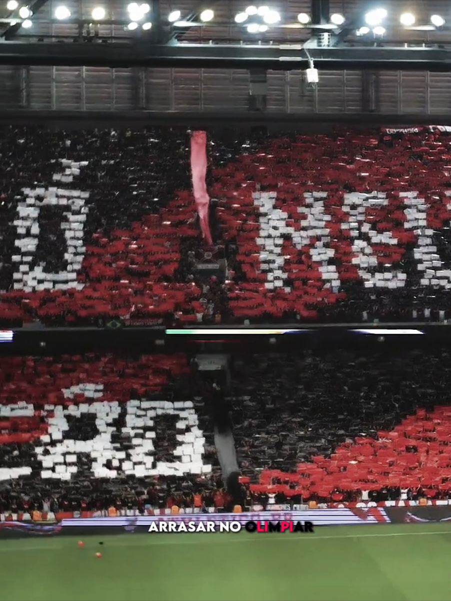 Rumo a seria A 🥺 #atheticoparanaense #cap #serieA #fy 