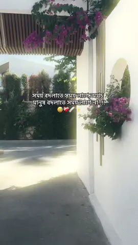 Hmm😅❤️‍🩹🩹✨#vairal_video #vairal_video_tiktok #foryou #foryoupage #foryoupageofficiall 