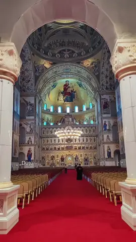 Duțu – Catedrala de Aur,Poporul la Gard”. #catedralaneamului #bucuresti #protv #romania🇷🇴 #fyp 