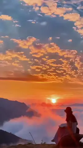 Oro 🎶🎶 Bronco #paratiiiiiiiiiiiiiiiiiiiiiiiiiiiiiii #musicaparadedicar #viralvideo 