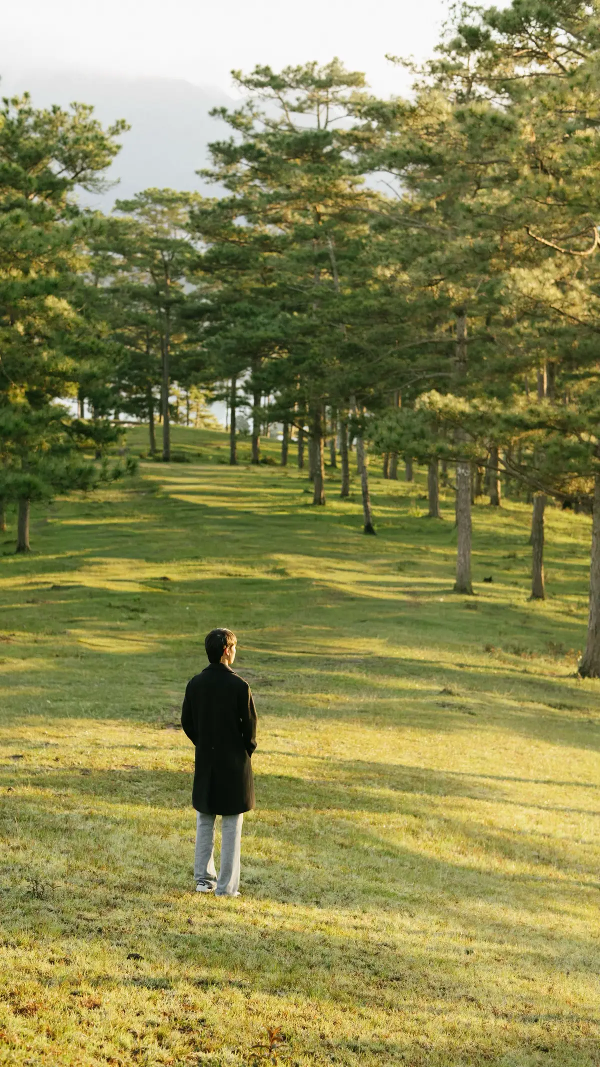 Sáng mùa thu Đà Lạt đồi tại Măng Lin #dalat #chuphinhdalat #chill 