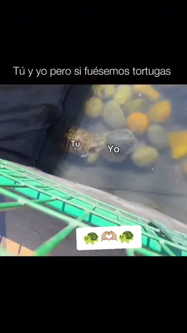 #paratiiiiiiiiiiiiiiiiiiiiiiiiiiiiiii #parat #mensaje #viral 