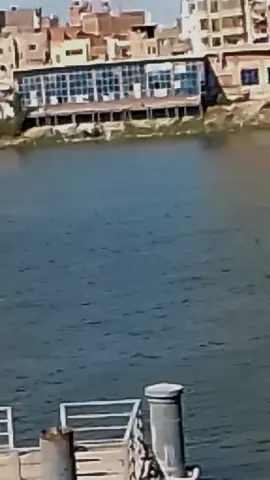 #الديقه_واخده_اخويا_وراء_الحديد⛓ #يارب_فوضت_امري_اليك 