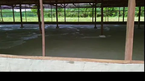 #tdpoultryequipment 