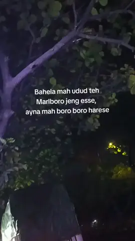 boro boro ji ayna mah magnum we nu mirah😂#herexstyle #Tegarputratruck #xmhdczzprojeck #masukberanda 