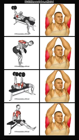 ✅ Dumbbell Triceps Workout  ① One Arm Laying Extension  ② Kickback ③ Tate Press ④ Dips 3 sets 10-12 reps 