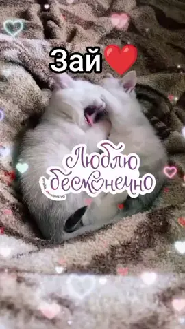 #женадальнобойщика💞🚚  #любовьиуважениедругдругу💋🫶❤️#fygjokwa🙏💥🔥 