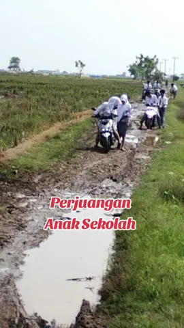 #promomakangajian #serunyabelajar #eltocar #treding #pyf 
