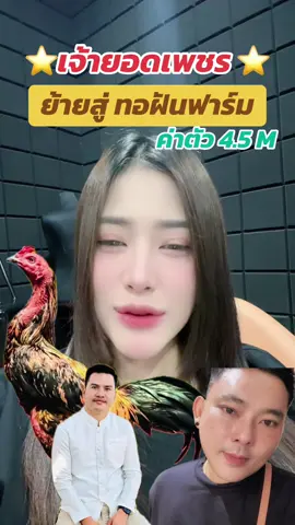 เจ้ายอดเพชร ย้ายค่ายสู่ ทอฝันฟาร์ม#อาหมวยชนไก่ #เจ้ายอดเพชร #สสนั่นฟาร์ม #ทอฝันฟาร์ม 
