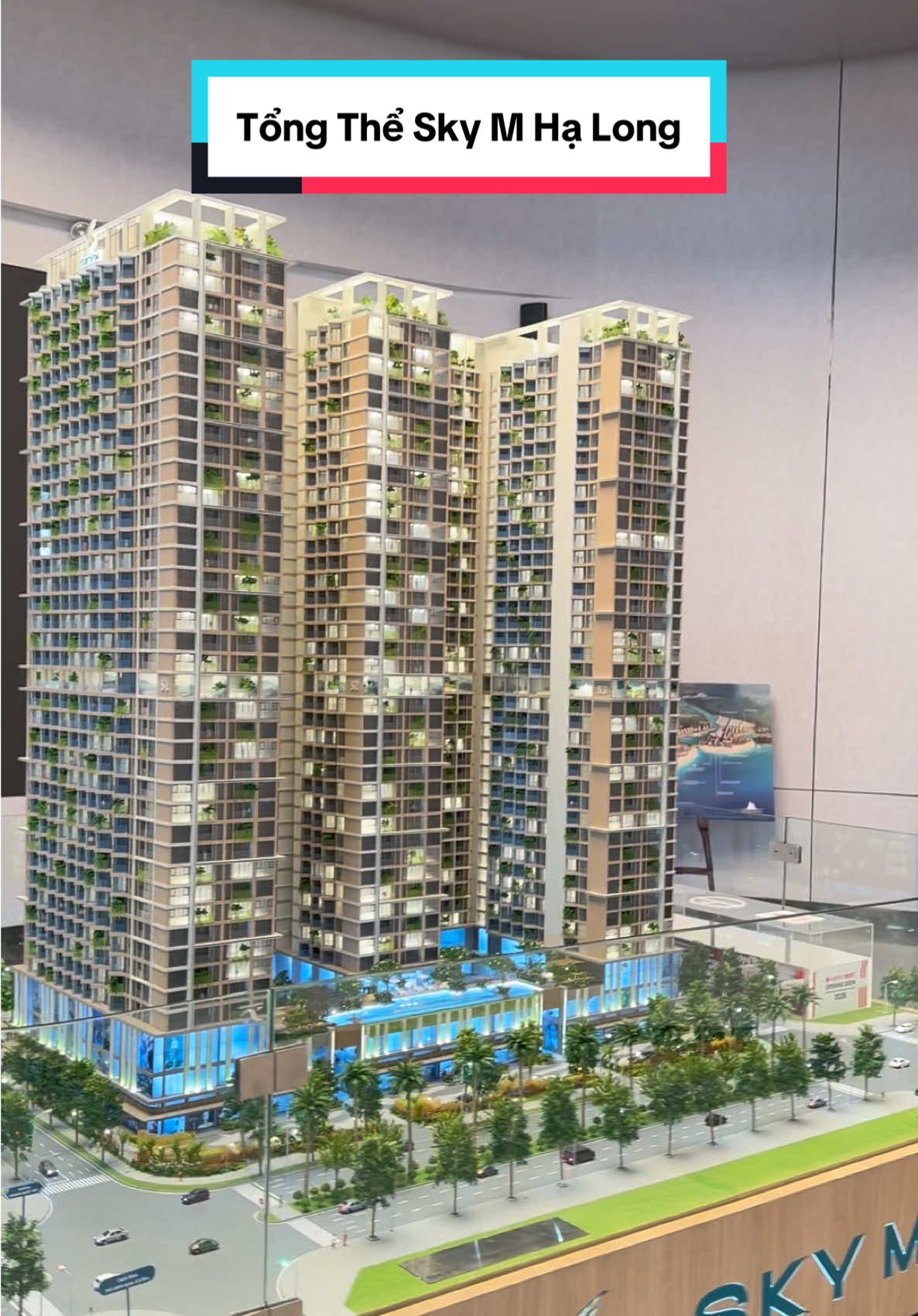 Tổng thể Sky M Hạ Long #skymhalong #skym #nghiduong #halong 