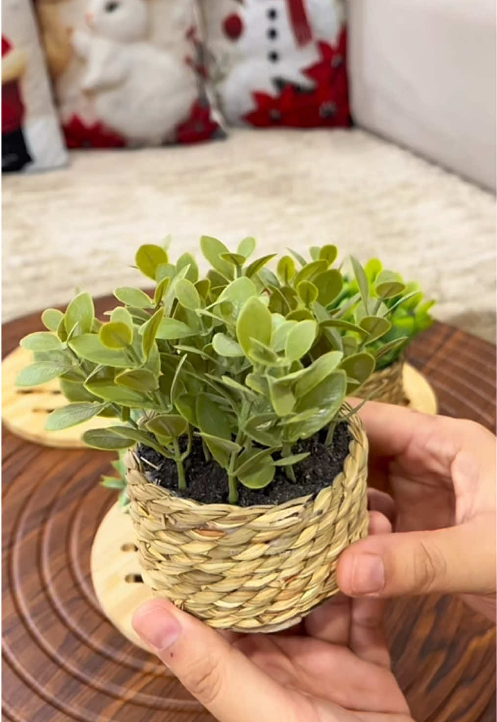 May mga pahalaman ulit ako pero this time maliliit lang sila #homedecoration #artificialplants #homedecor #fyp 